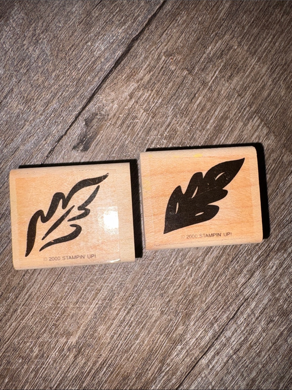 Stampin’ Up Vintage Y2K 2000 Two Leaf Rubber Stamps